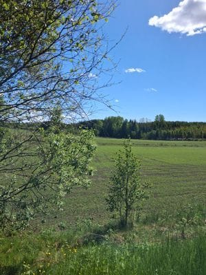 Lantligt boende - Bild 12