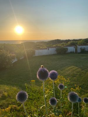 Hus vid havet - Bild 9