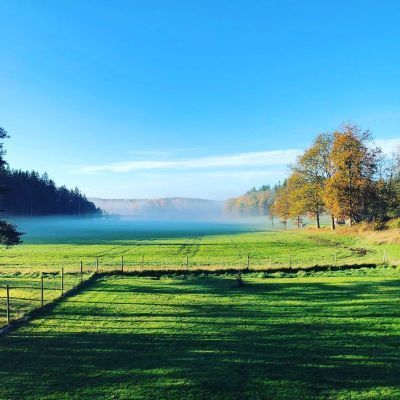 Bild 4 på Villa med pool & sjöutsikt, Svanesund | SE09167