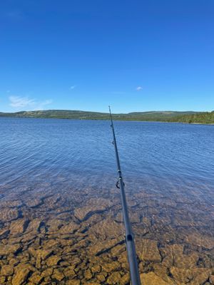 Stuga, Åkersjön, Jämtland, sjöutsikt, fjällutsikt - Bild 30