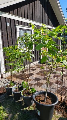 Idylliskt boende för stora grupper/arbetare - Bild 35