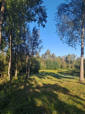 Lägenhet med lantligt läge med egen terrass - Bild 8