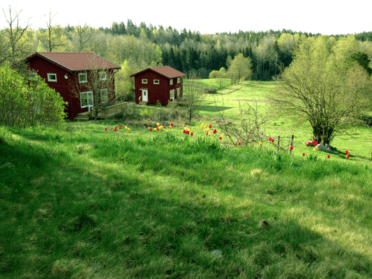 Stuga på vacker bondgård | Öppna vyer & nära sjön - Bild 7