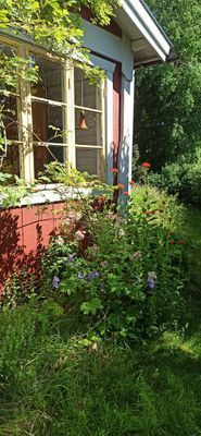 Hyr denna stuga i Norberg på 71 m². 4 sängplatser. Från 5 000 kr per vecka. Se bilder och tillgänglighet här.