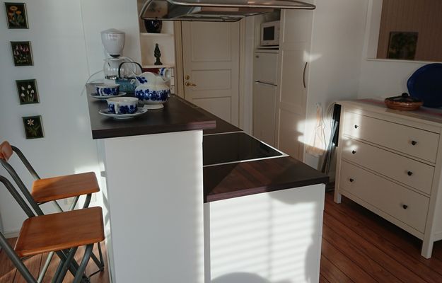 Havet, två meter från med egen brygga. - Bild 9