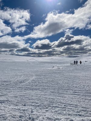 Vemdalsskalet/Vemdalen, Ski-in/out. - Bild 8