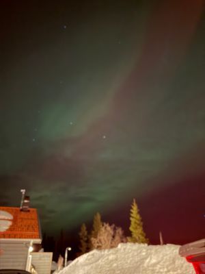Hög mysfaktor i lugnare område, närhet till backar - Bild 30
