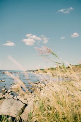 Exklusiv lyxig villa vid havet 1 mil norr om Visby - Bild 24