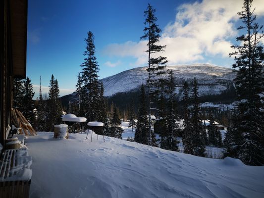 Underbar stuga i Bydalen - Bild 34