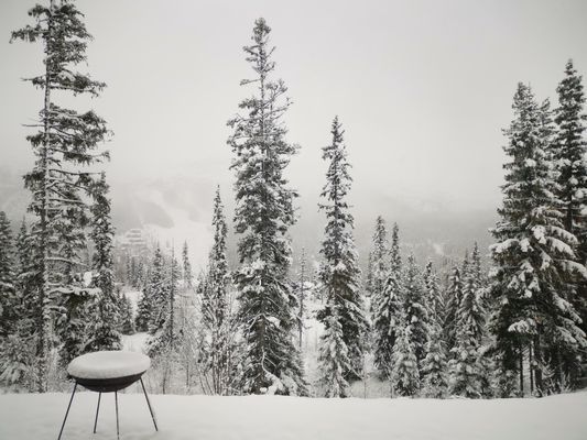 Underbar stuga i Bydalen - Bild 33