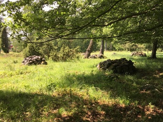 Kulturhistoriska lämningar i form av odlingsrösen vid gården.