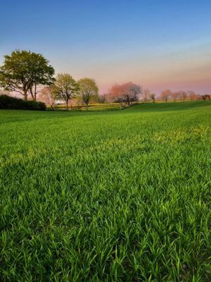 Varsamt renoverad tegellänga i liten kyrkby - Bild 20