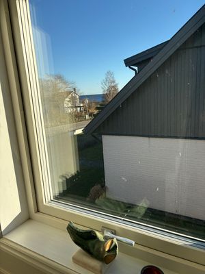 Förstklassigt och havsnära boende - Bild 8