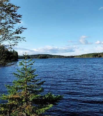 Mysig Timmerstuga - Bild 11