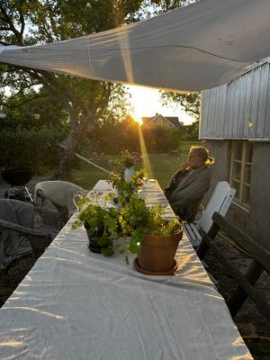 SÖDRA ÖLAND - Bild 16