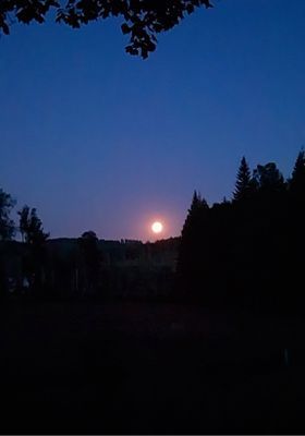 Mysig Timmerstuga - Bild 17