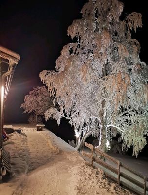 Charmigt boende nära Åre för 4 pers. - Bild 12