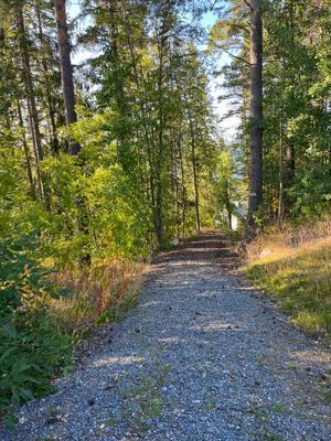 Grusvägen ner till huset från parkeringen vid landsvägen