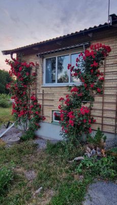 Solvillan Blankaholm - Bild 16