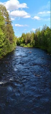 Familjevänlig mysig röd fjällstuga nära Kläppen - Bild 17