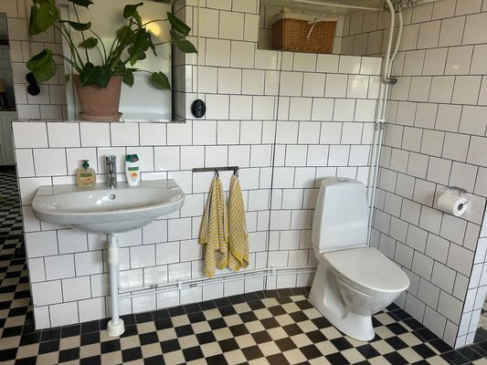 Familjehus på sydkusten, Bingsmarken, nära Ystad - Bild 16