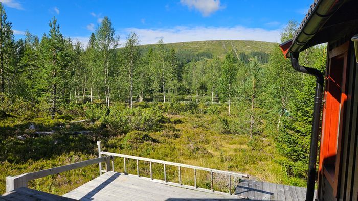 Mysig fjällstuga med laddbox i Fjätervålen/Idre - Bild 15