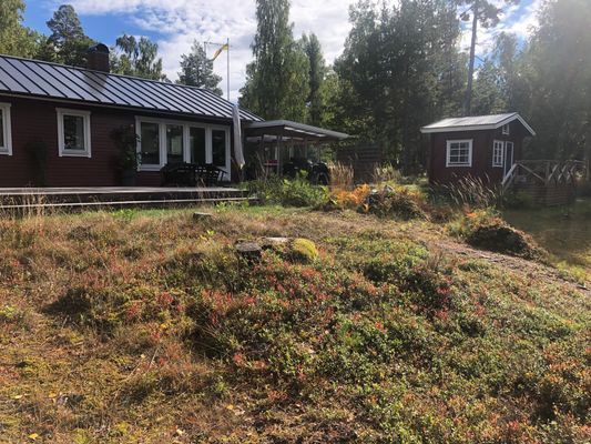 Mysigt fritidshus med egen brygga - Bild 12
