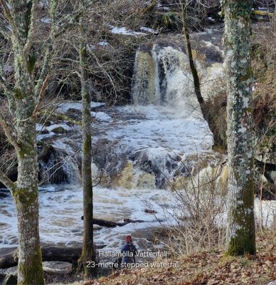 Retreat Kerstins stuga - Bild 12