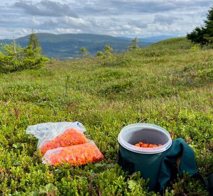 Härlig lägenhet i Åre/Tegefjäll - Bild 30