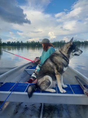 Unikt sjöläge, båt och kanot, bastu och hund ok - Bild 54
