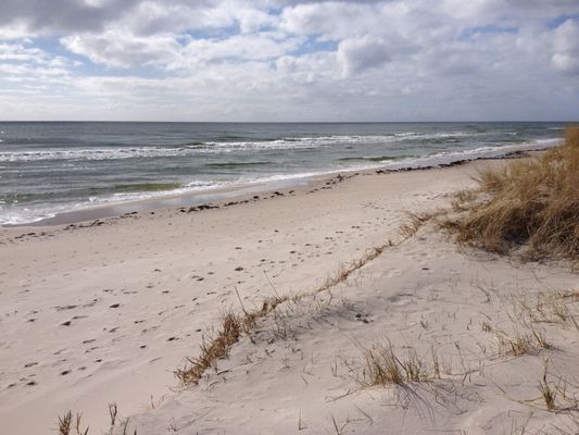 I hjärtat av Brantevik på Österlen - Bild 15