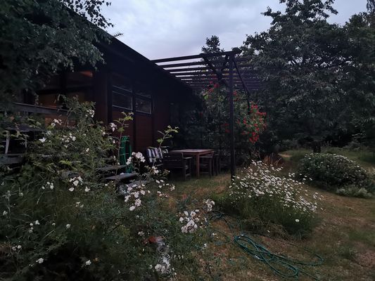 Högsommar och kvällsljus