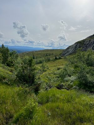 Härlig lägenhet i Åre/Tegefjäll - Bild 25