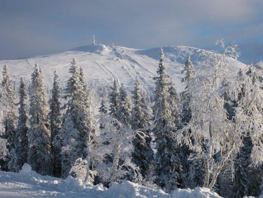 Bild 3 på Lofsdalen - Fjällen på riktigt