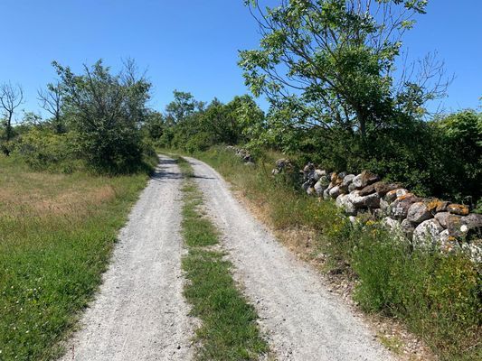 "Lilla Solhem" charmig stuga 150m från havet - Bild 14