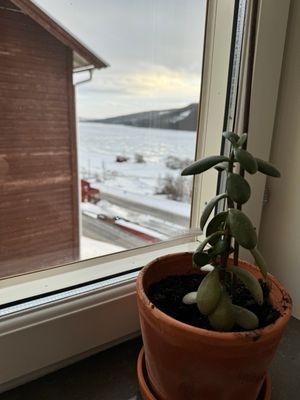 Välutrustad liftnära lägenhet 8 bäddar - Bild 20