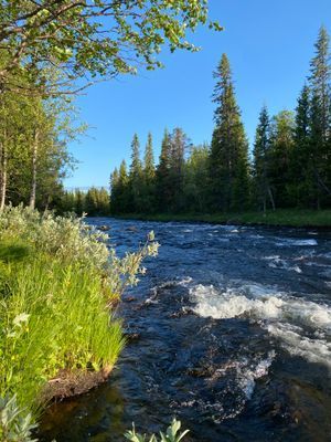 Fjällstuga i Grövelsjön - Bild 18