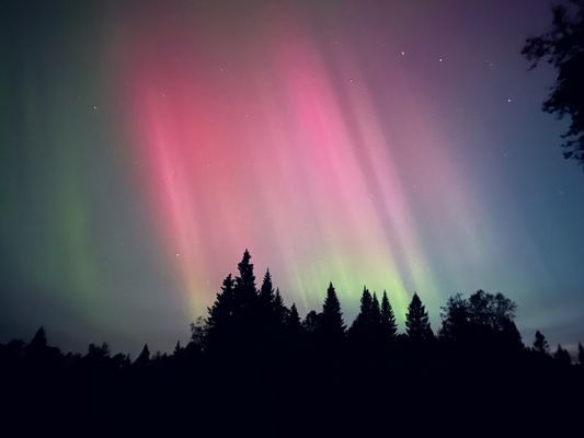 Fjällstuga i Grövelsjön - Bild 19