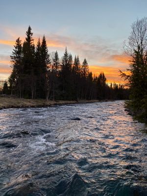 Fjällstuga i Grövelsjön - Bild 17