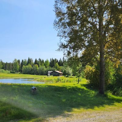 Bild 3 på Bäverstugan