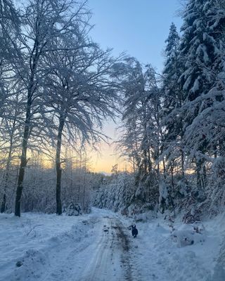 Mysig stuga i NV Skåne - Bild 25