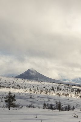 Pärla i Idre Himmelfjäll - Bild 56