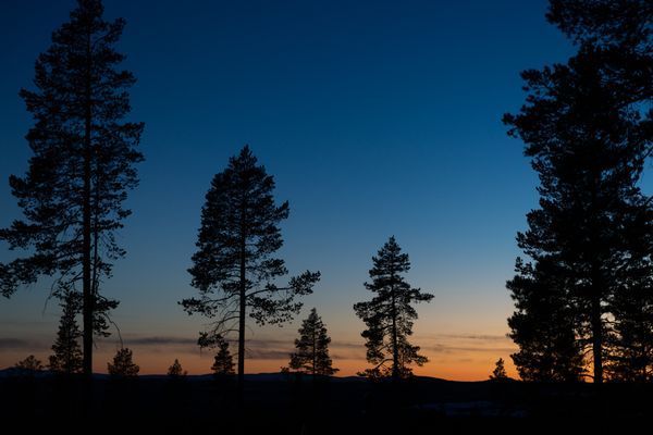 Pärla i Idre Himmelfjäll - Bild 54