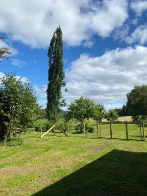 Villa Ragunda - Bild 6