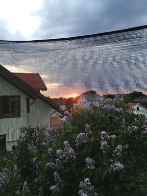 Hyr denna stuga i  på 75 m². 4-6 sängplatser. 7 - 8 500 kr per vecka. Se bilder och tillgänglighet här.