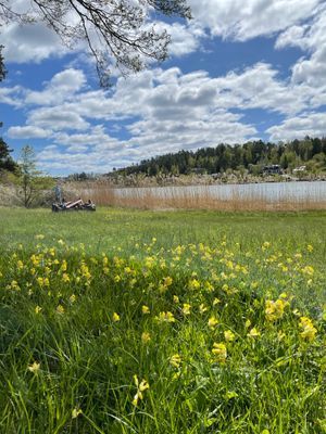 Skärgårdsidyll på bilfri ö nära Värmdö och Ingarö - Bild 21