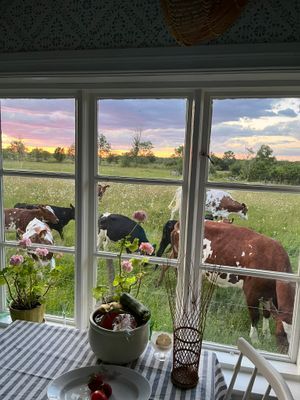 Öland - charmigt torp med sommarkänsla i Ryd. - Bild 9