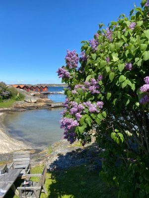 Bild 4 på Strandhus på Gullholmen/Härmanö