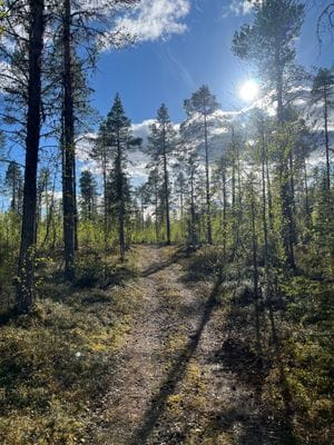 Njut av svenska Lappland med privat bastu - Bild 17