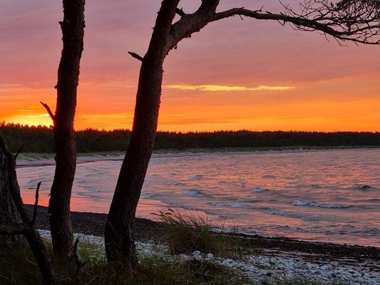 Fårö, 8-bäddarshus nära stränder och Fårö Fyr - Bild 15